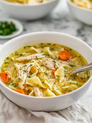 Instant Pot Chicken Noodle Soup Recipe