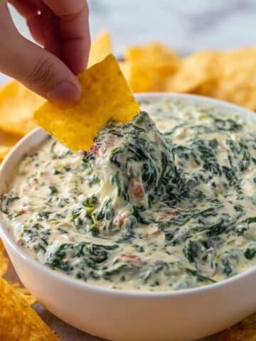 Spinach Cheese Dip Recipe
