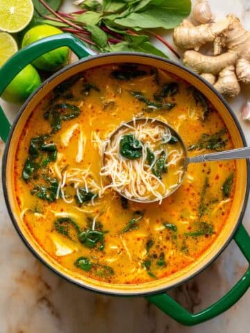 Thai Chicken Curry Soup Recipe