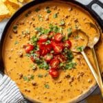 Rotel Dip Recipe