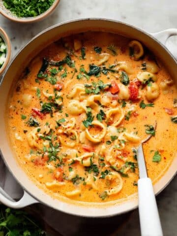 Creamy Tortellini Minestrone Soup Recipe
