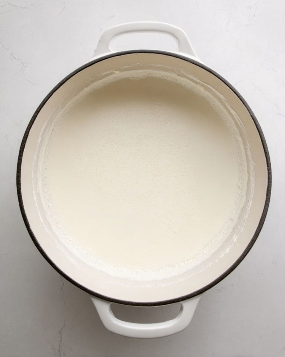 A large, round white pot with handles on each side sits on a white marbled surface. Inside the pot is a single thick layer of pale creamy liquid with a smooth and slightly frothy texture on top, covering the entire bottom evenly. The pot's inner edge shows a bit of residue from the liquid, creating a soft white ring around it. The whole scene is viewed from above, showing the simplicity and the calm texture of the creamy liquid. photo taken with an iphone --ar 4:5 --v 7