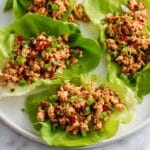 Asian Turkey Lettuce Wraps Recipe