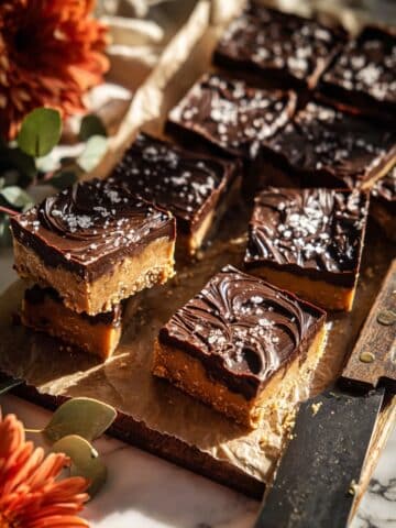No-Bake Dark Chocolate Oatmeal Cookie Bars Recipe