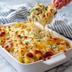 Chicken Alfredo Bake Recipe