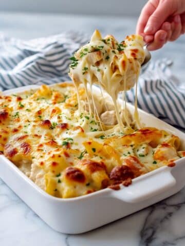 Chicken Alfredo Bake Recipe