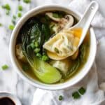 Easy Wonton Soup Recipe