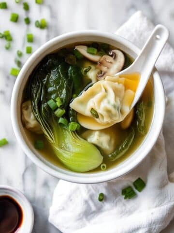 Easy Wonton Soup Recipe